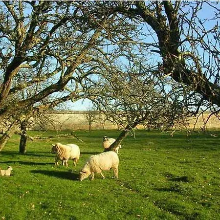 Chateau De Boiscoursier Bed & Breakfast Marnay (Vienne)